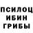Галлюциногенные грибы Psilocybine cubensis DemonFelix Zerros