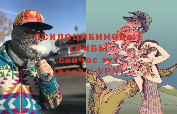 MDMA Premium VHQ Алзамай