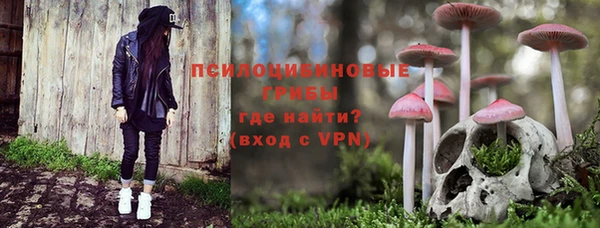 соль ск Ладушкин
