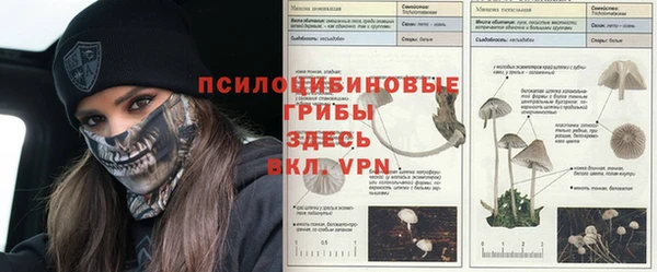 первитин Алексин