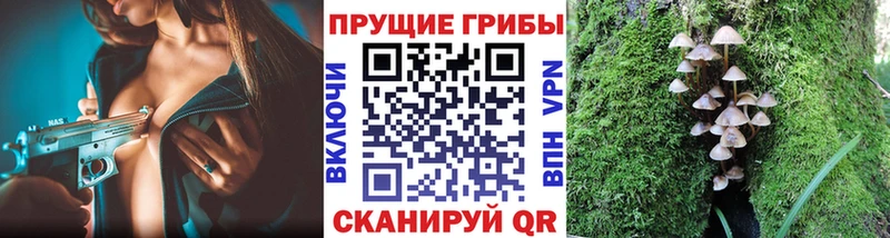 купить  цена  Артём  Галлюциногенные грибы Magic Shrooms 